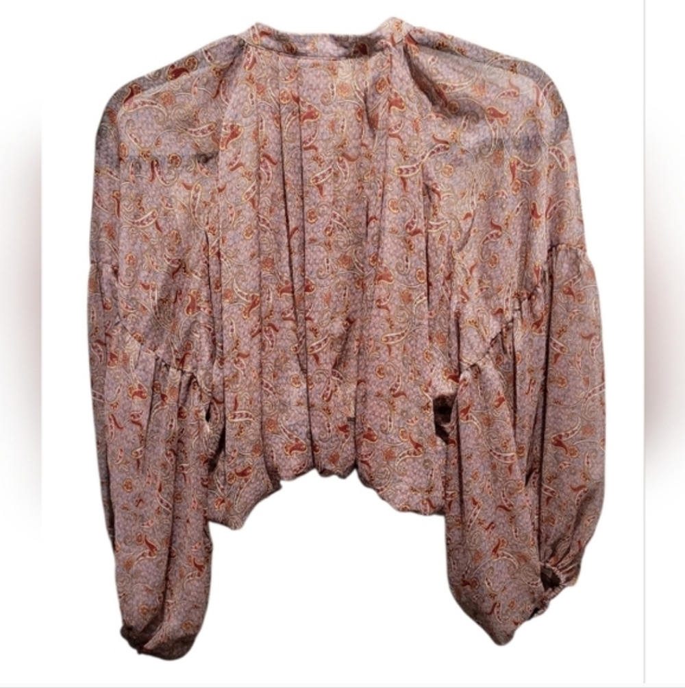 Zara Sheer Paisley Blouse Medium Boho Balloon Sleeve Button Front Top - Picture 2 of 10